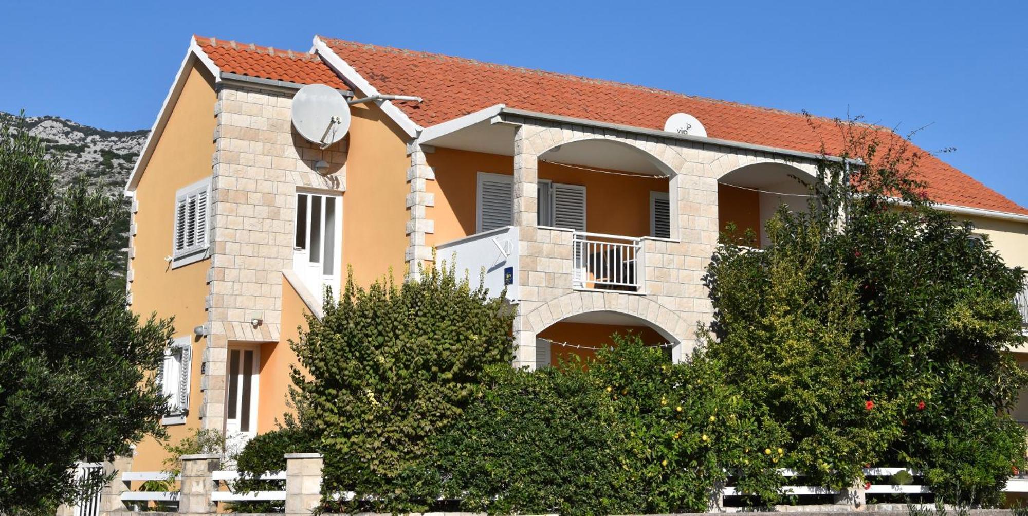 Apartment Andrea Orebic